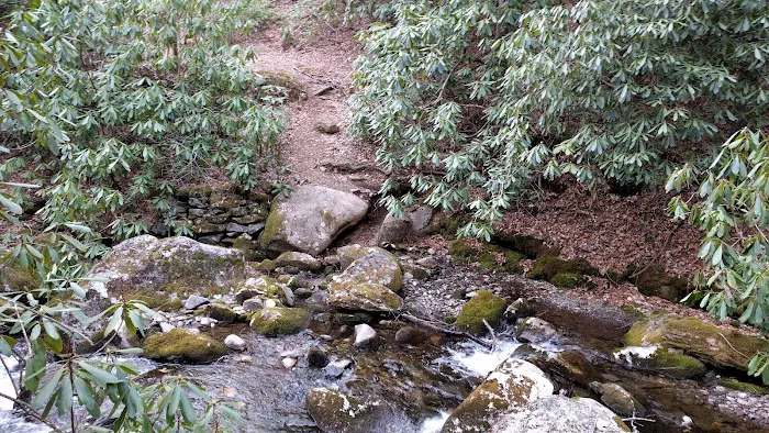 Backcountry Campsite #68 Picture 8