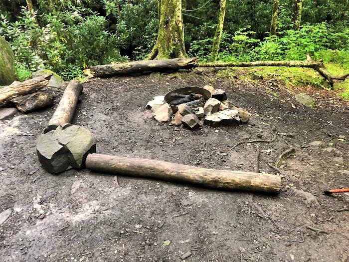 Backcountry Campsite #68 Picture 9