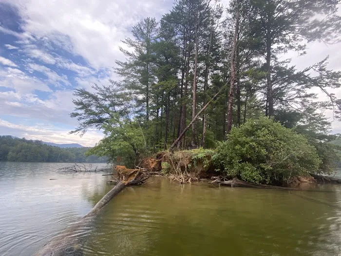 Snowbird Creek Campsite Picture 3