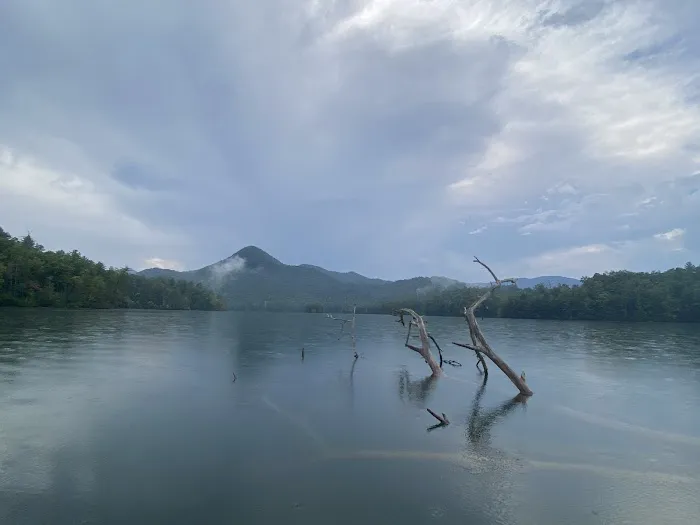 Snowbird Creek Campsite Picture 4