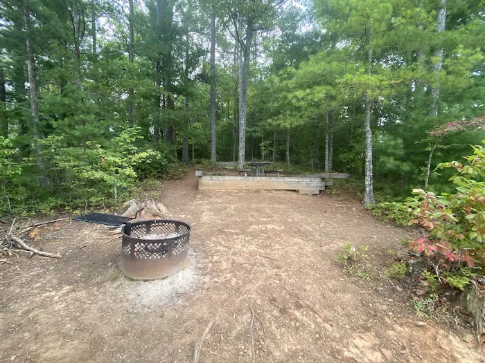 Snowbird Creek Campsite Picture 6