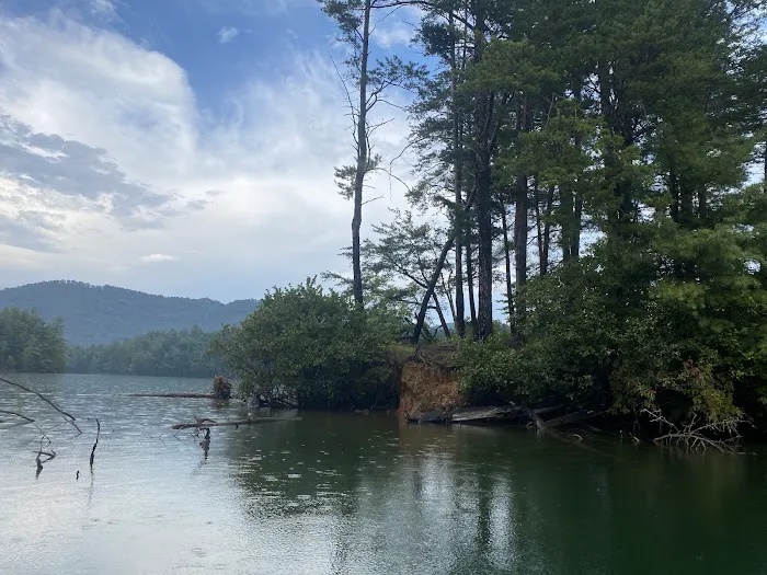 Snowbird Creek Campsite Picture 9