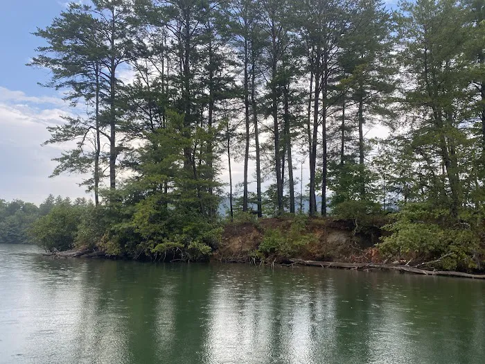 Snowbird Creek Campsite Picture 7