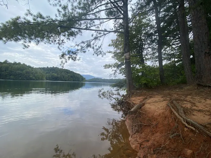 Snowbird Creek Campsite Picture 10