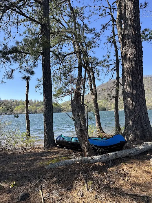 Lake Santeetlah #2 Picture 6