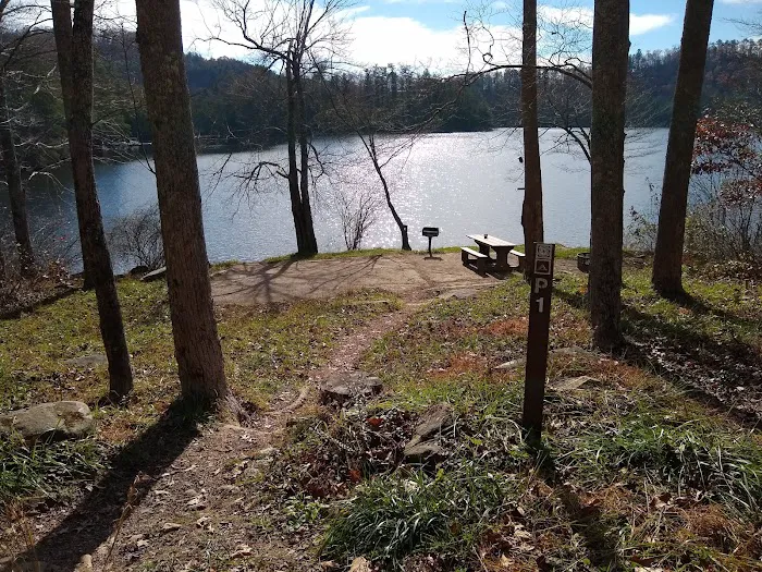 Forest Service Campsite P1 Picture 6