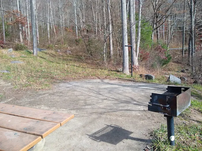 Forest Service Campsite P1 Picture 5