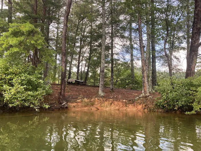Lake Santeetlah Campsite Picture 6