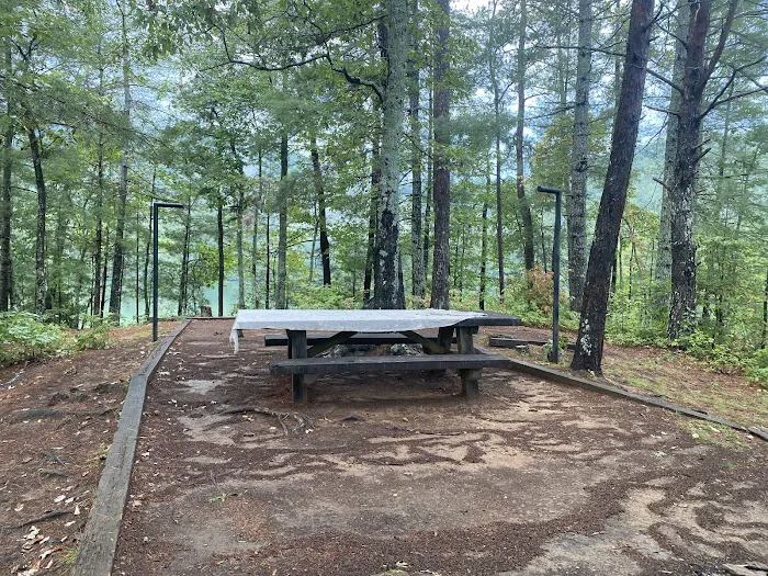 Lake Santeetlah Campsite Picture 9