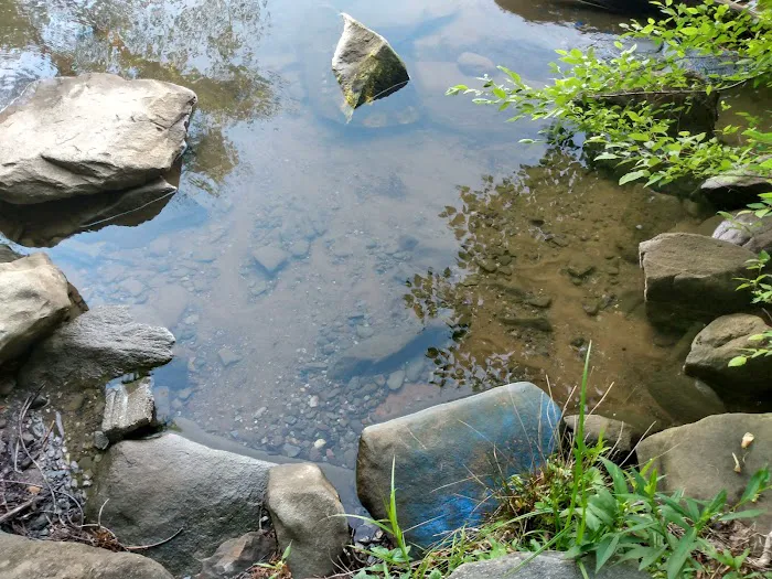 Forest Service Campsite P3 Picture 1