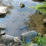 Forest Service Campsite P3