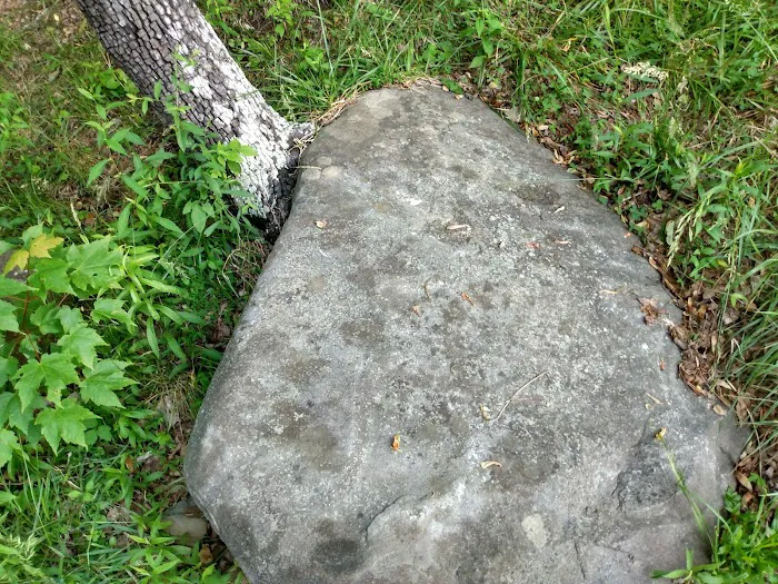 Forest Service Campsite P3 Picture 4