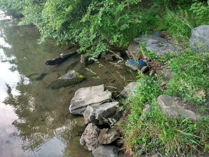 Forest Service Campsite P3 Picture 6