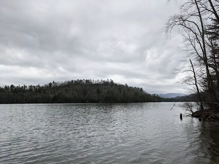 Forest Service Campsite P3 Picture 2