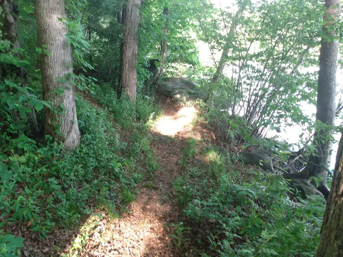 Forest Service Campsite P3 Picture 5