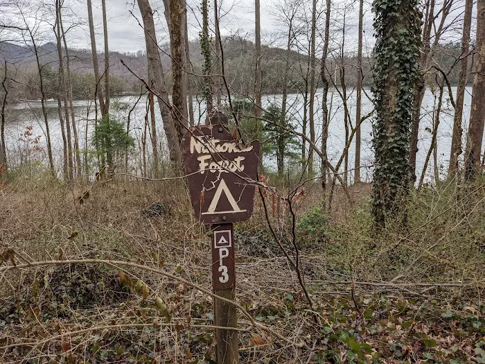 Forest Service Campsite P3 Picture 9