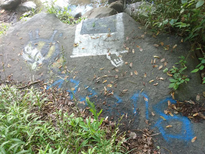 Forest Service Campsite P3 Picture 7