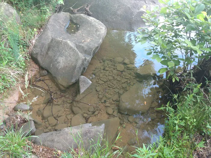 Forest Service Campsite P3 Picture 10