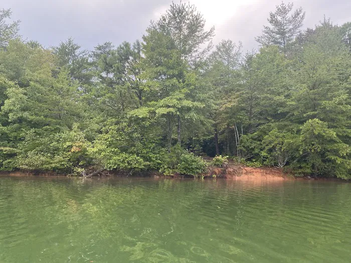 Lake Santeetlah Campsite #3 Picture 2