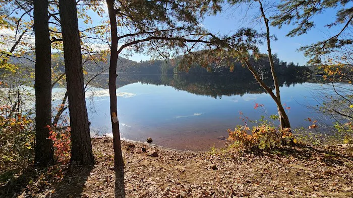 Forest Service Campsite P5 Picture 10