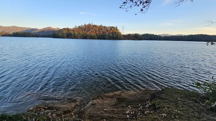 Forest service campsite 10 Picture 2
