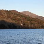 Forest service campsite 10