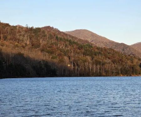 Forest service campsite 10