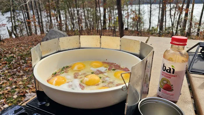 Forest service campsite 10 Picture 4