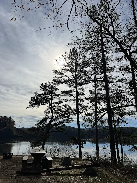 Forest service campsite 10 Picture 6