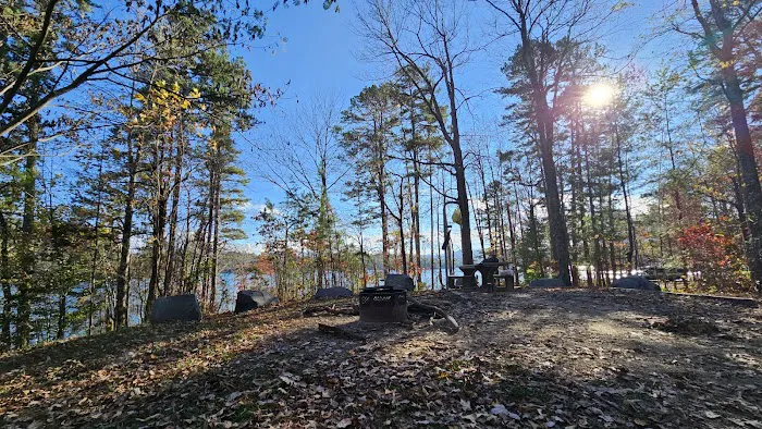 Forest service campsite 10 Picture 5