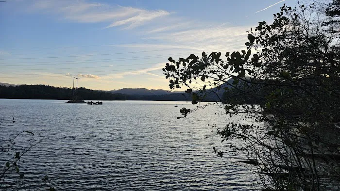 Forest service campsite 10 Picture 8