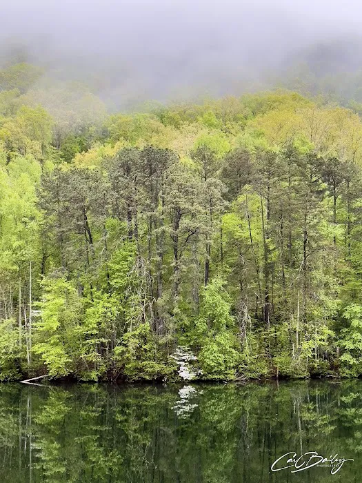 Santeetlah Lake, Pine Ridge Road NCSR #1147 Picture 2