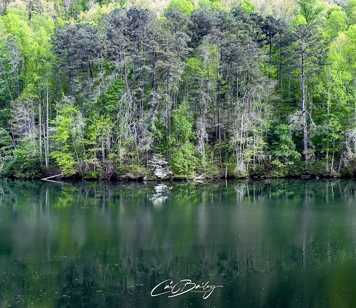 Santeetlah Lake, Pine Ridge Road NCSR #1147 Picture 8