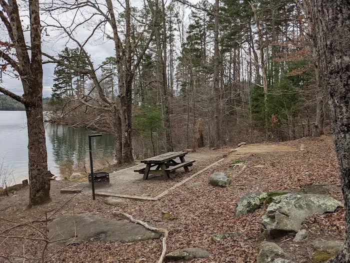 Forest Service Campsite P8 Picture 1