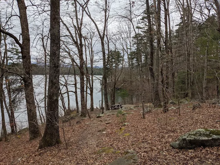 Forest Service Campsite P8 Picture 3