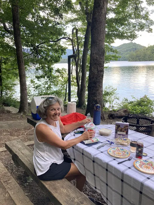 Forest Service Campsite P8 Picture 4