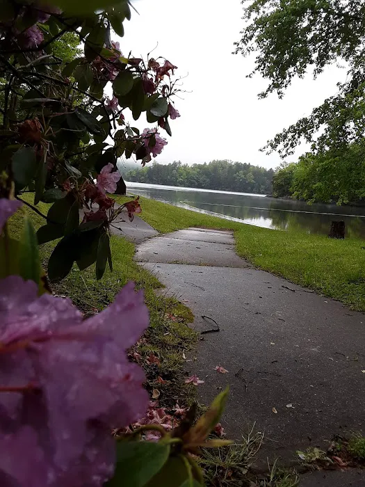 Cheoah Point Campground Picture 1