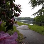 Cheoah Point Campground