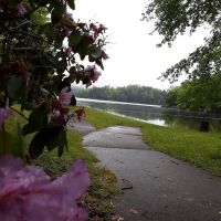 Cheoah Point Campground ico