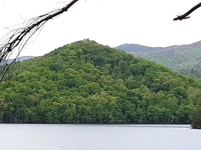 Cheoah Point Campground Picture 2