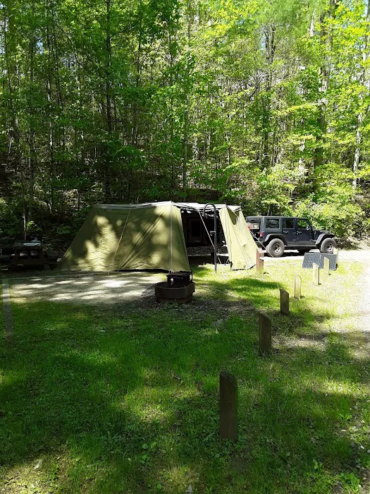 Cheoah Point Campground Picture 6