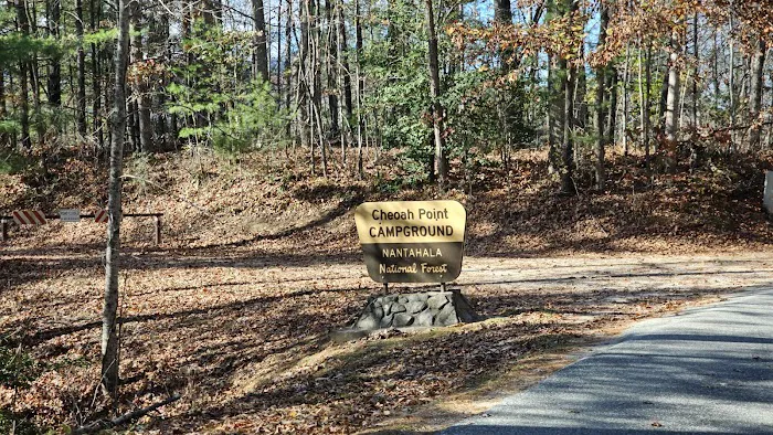 Cheoah Point Campground, Cheoah Ranger District, Nantahala National Forest Picture 4