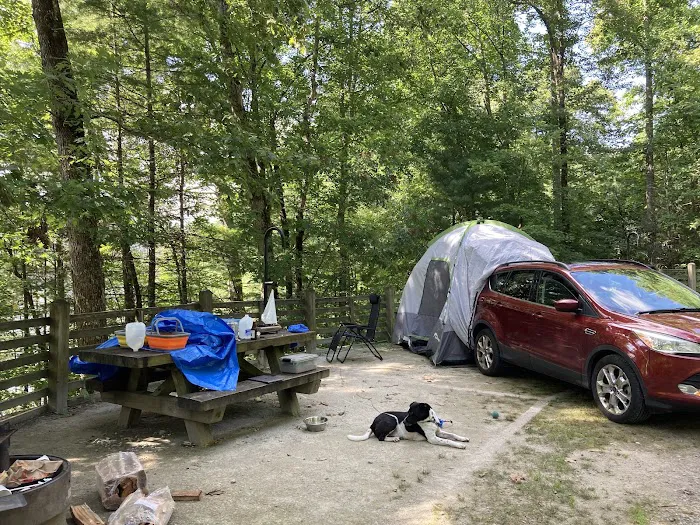 Cheoah Point Campground, Cheoah Ranger District, Nantahala National Forest Picture 5
