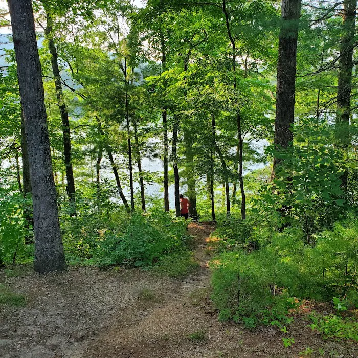 Cheoah Point Campground, Cheoah Ranger District, Nantahala National Forest Picture 6