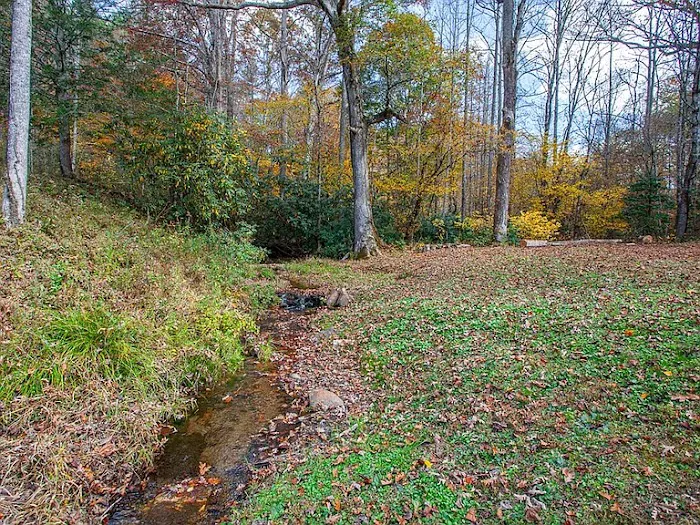 Private RV lot for rent Picture 2