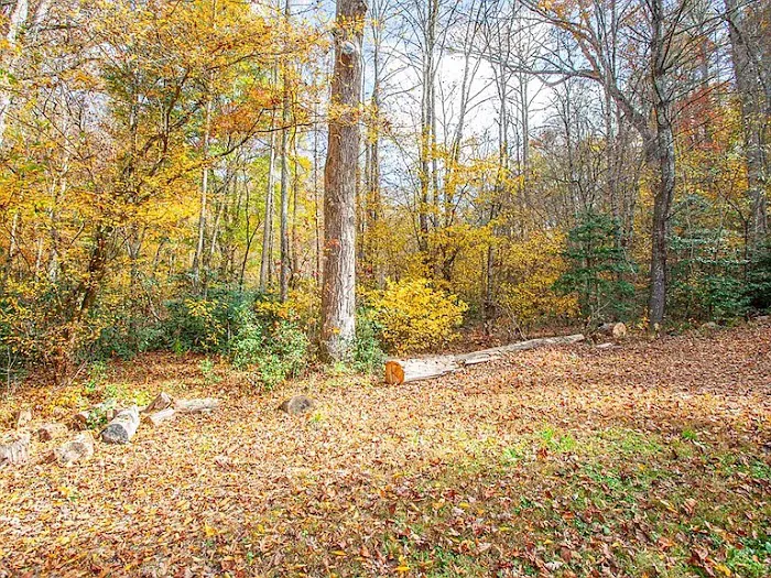 Private RV lot for rent Picture 4