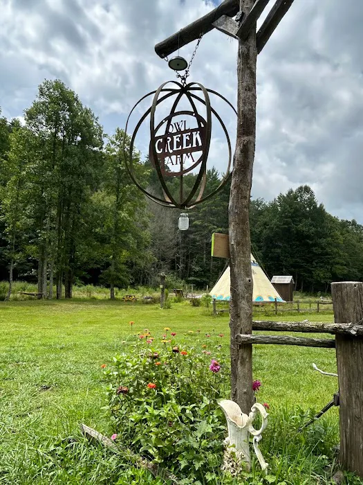 Owl Creek Farm Resort Picture 5