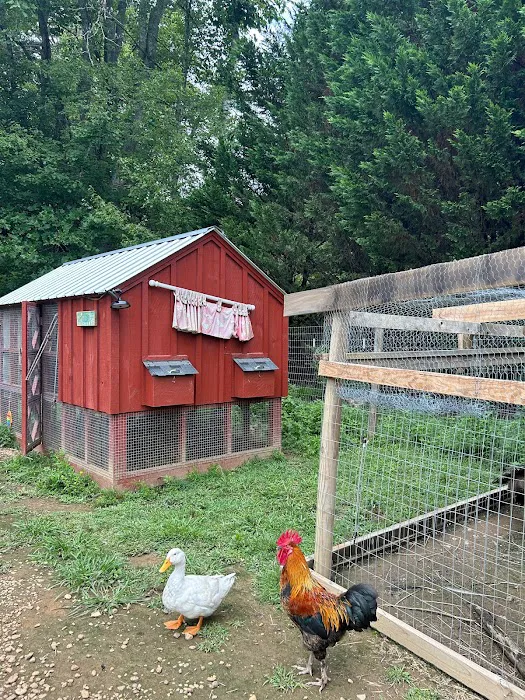 Owl Creek Farm Resort Picture 8