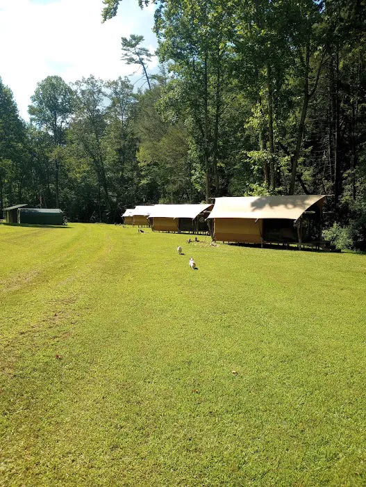 Hanging Dog GLAMP Campground Picture 5