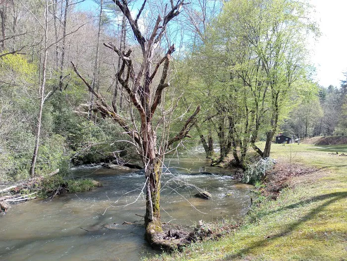 Hanging Dog GLAMP Campground Picture 7